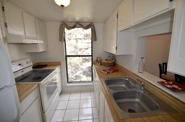 Primary Photo - Large 1 Bedroom 1 bath with Loft!