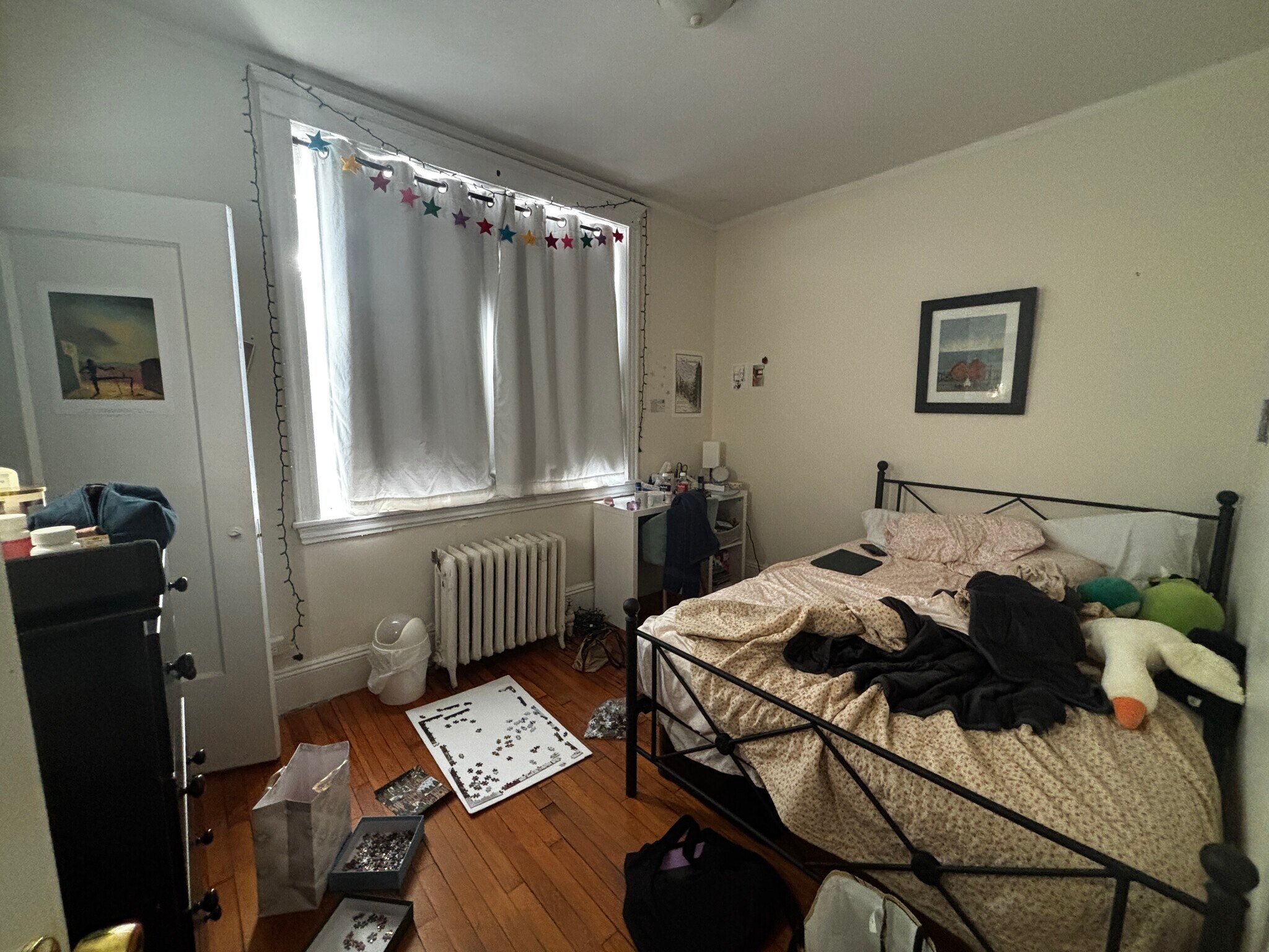 Building Photo - 66 Egmont St