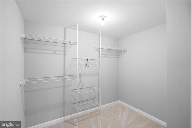 Building Photo - 8300 White Star Ct