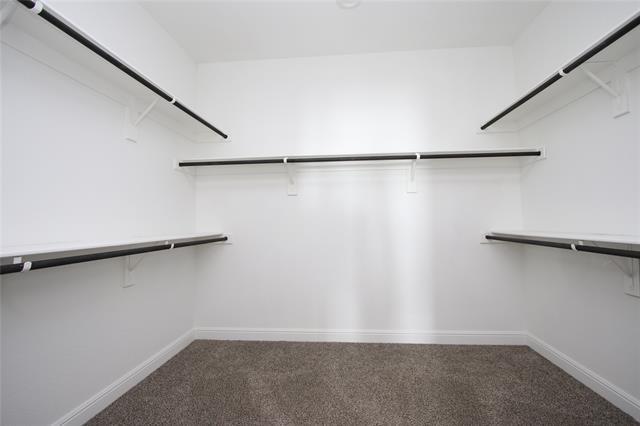 Building Photo - 2405 Moon Rnch