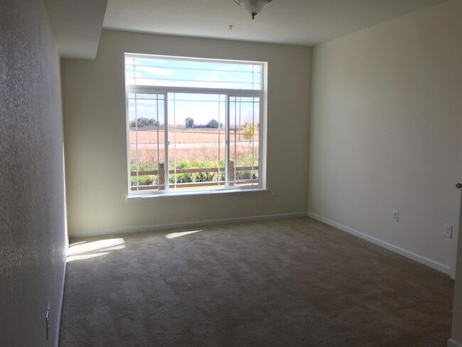 Building Photo - 804 Summer Hawk Dr
