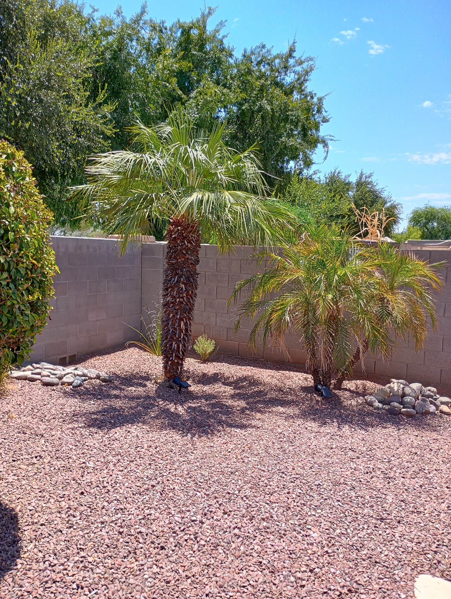 Building Photo - 1671 N Garrett Dr