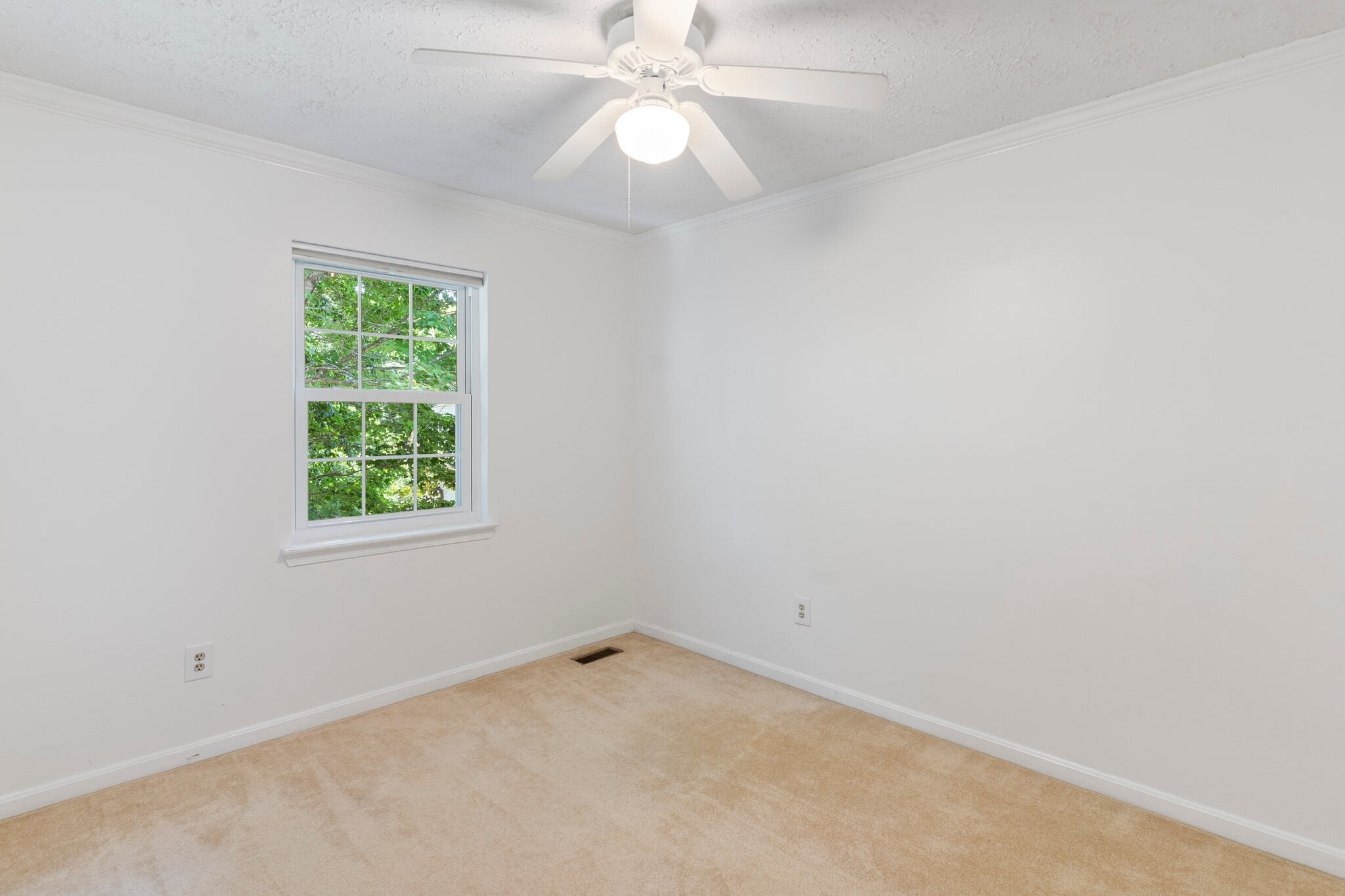 Building Photo - 119 Oriole Ln
