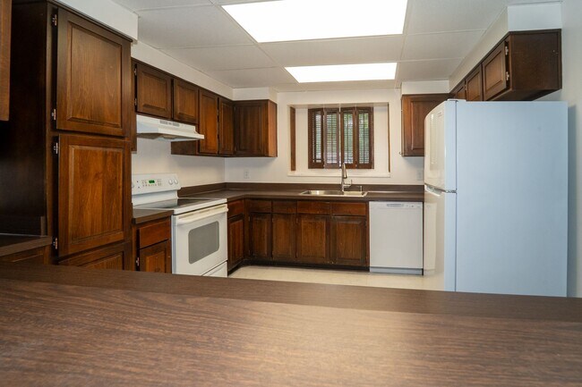 Building Photo - 3/2 Single-Family Shores Home