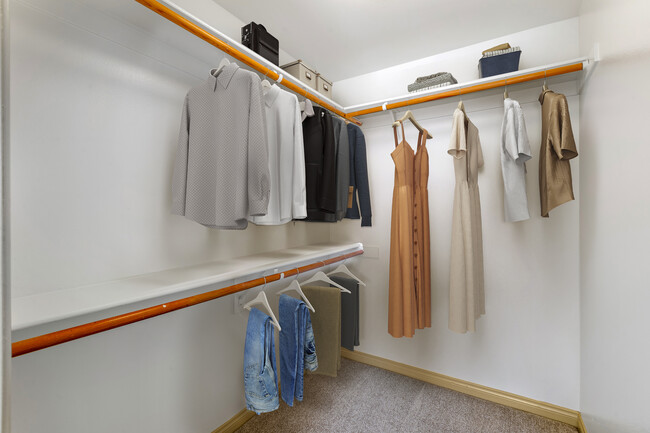 Walk-in closet - Avalon Thousand Oaks Plaza