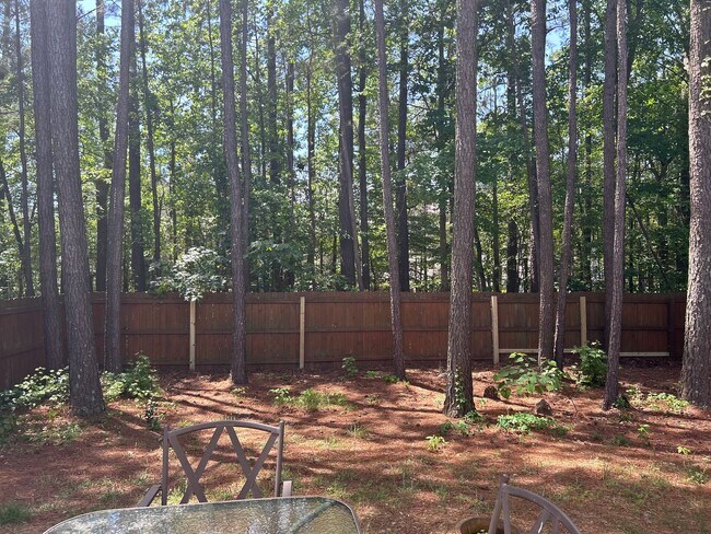 Building Photo - 4 Bedroom | 3 Bathroom Apex Home with Fenc...