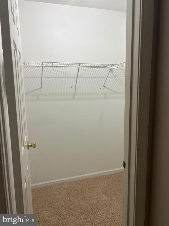 Building Photo - 5006 Dorsey Hall Dr