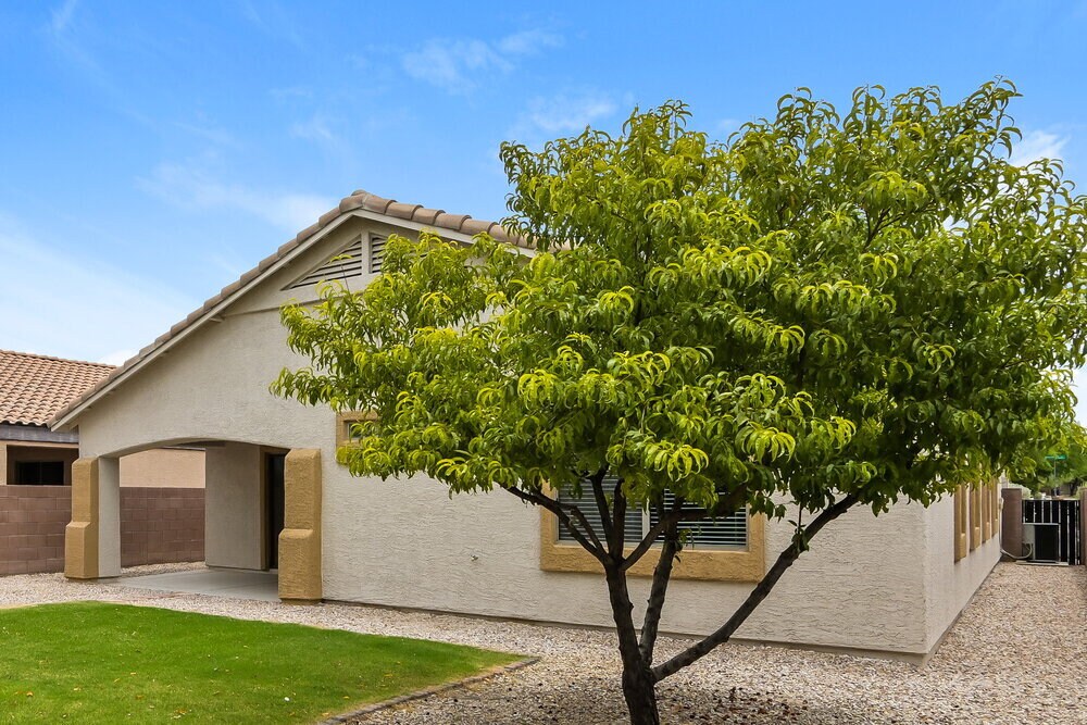 Building Photo - 8966 S Beechnut Ln