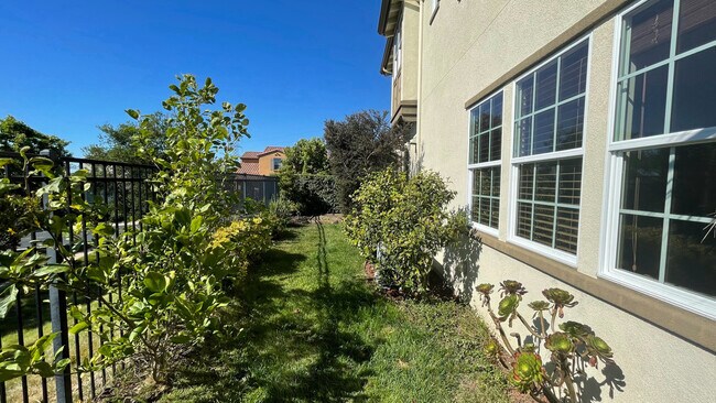 Left Side yard #1 - 297 Drummond Dr