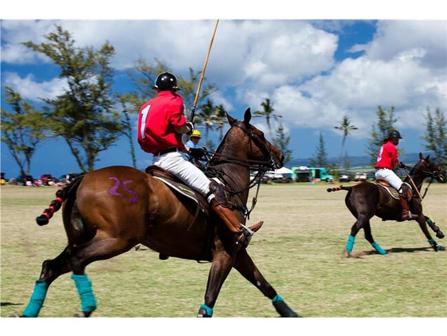 Building Photo - 68-434-434 Farrington Hwy