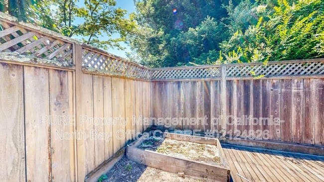 Building Photo - 1107 Navarro St