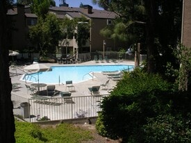 Community pool - 9721 Mesa Springs Way