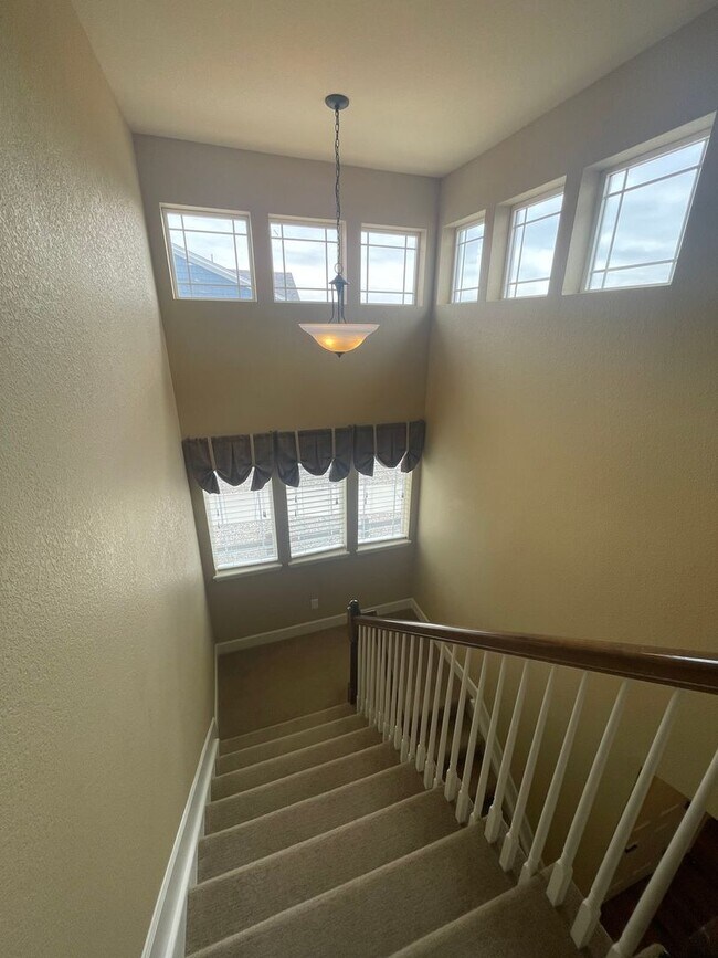 Building Photo - Sprawling Two-Story Home in SE Ft. Collins