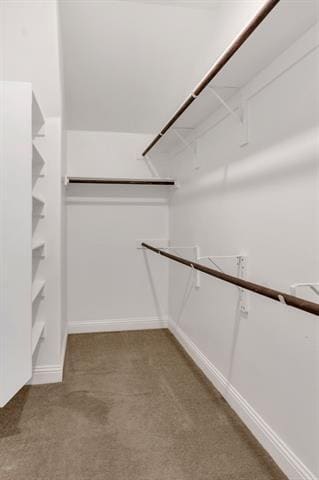 Building Photo - 910 Estelle Dr