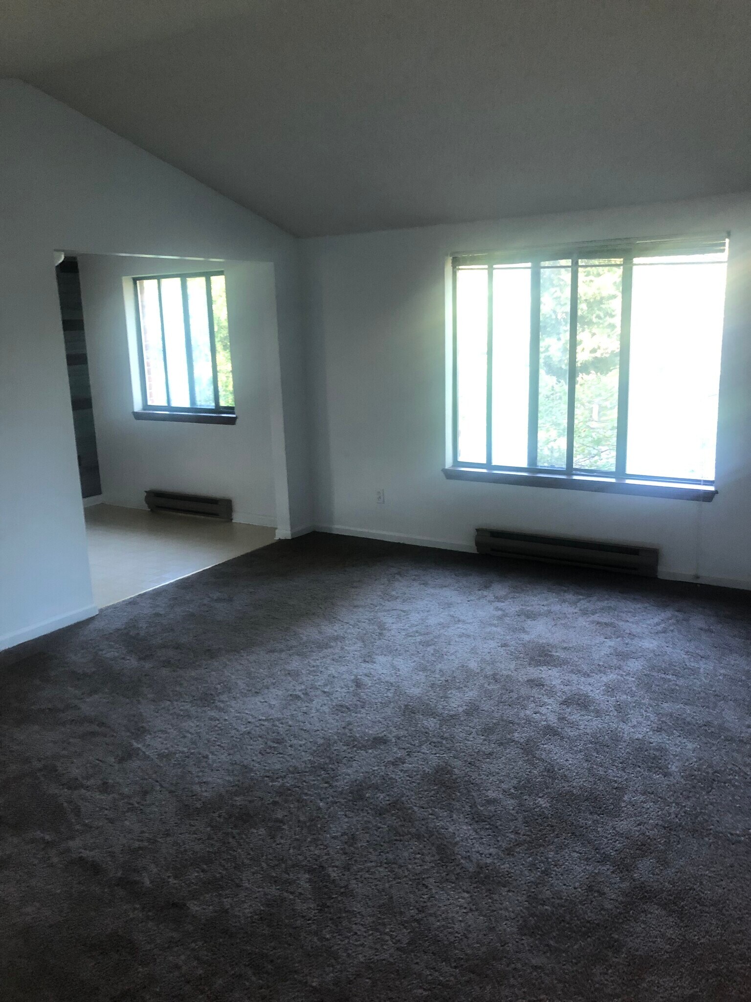 Building Photo - 23 Lemon Tree Ct