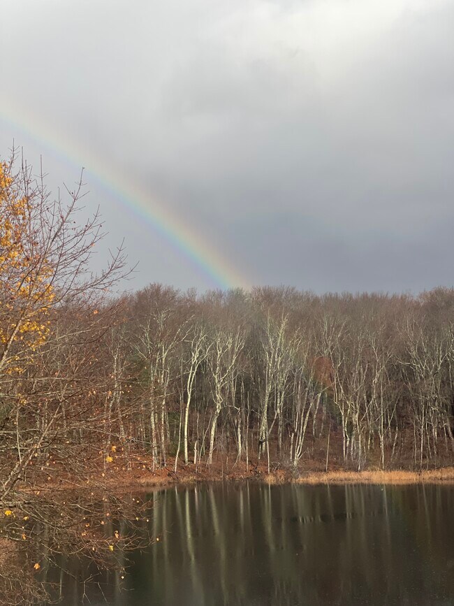 Building Photo - 697 Putnam Pike