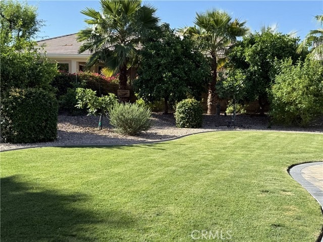 Building Photo - 35859 Cumberland Ct