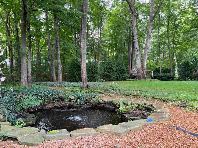 Building Photo - 4907 Pinewood Ct