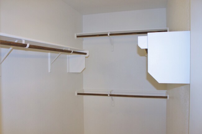 Building Photo - 213 Paint Creek Ln