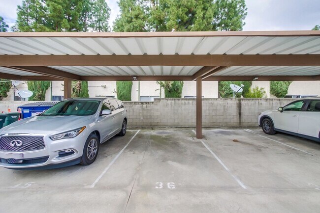 Building Photo - XL Studio - Newly renovated with large wal...