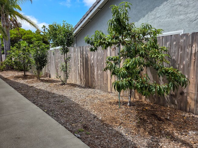 Building Photo - Stunning Coastal Retreat in Oceanside with...