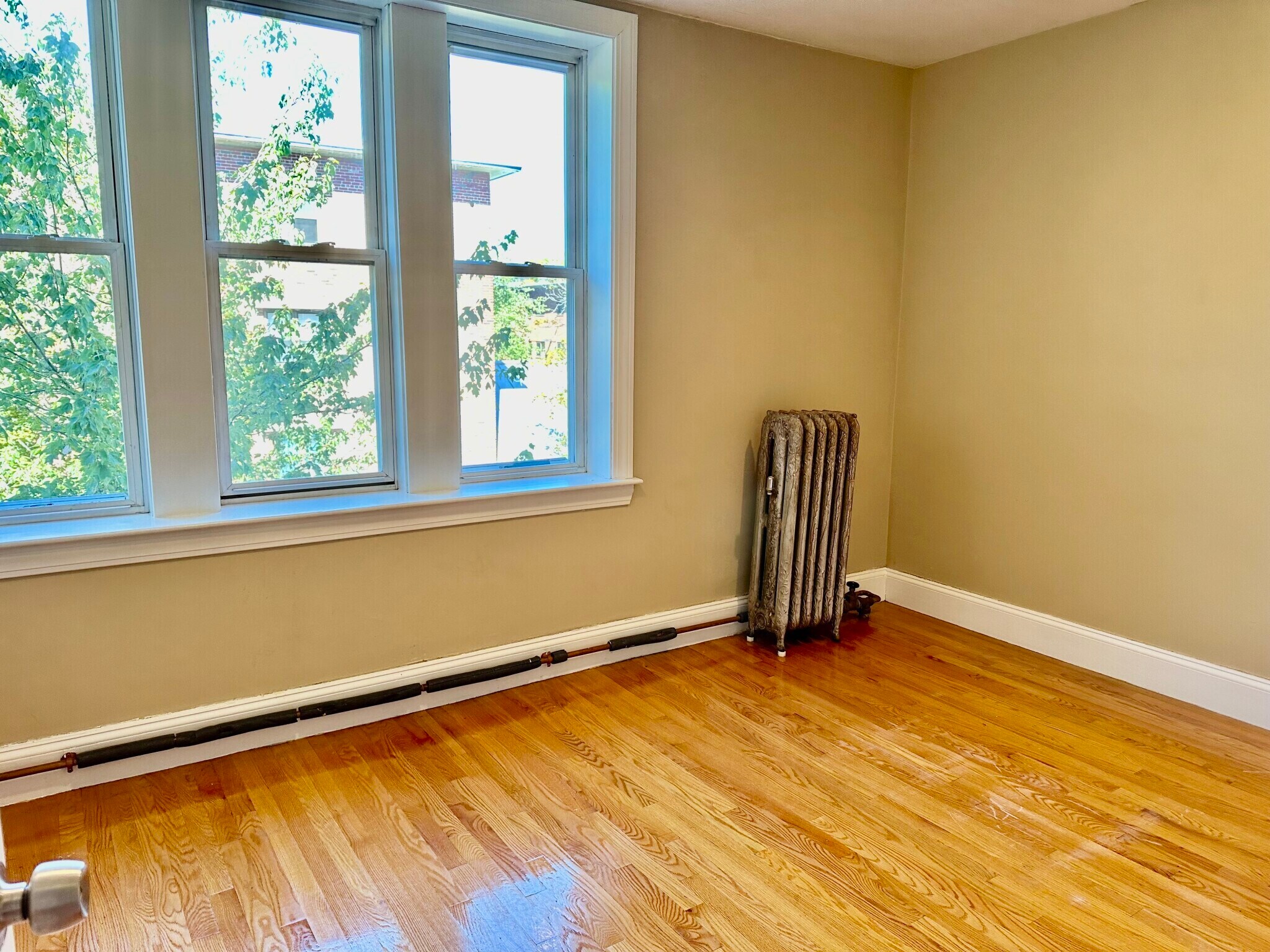 Building Photo - 72 Egmont St