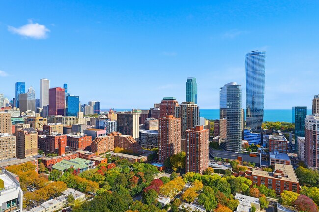 Building Photo - 1000 S Clark St