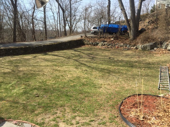 Building Photo - 40 Dunster Ln