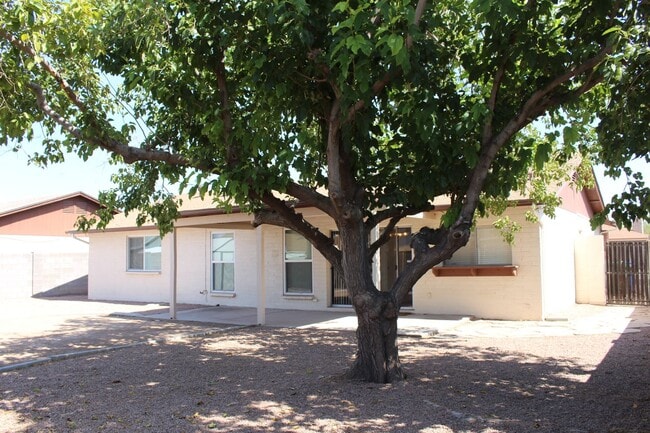 Building Photo - Central Mesa - No HOA with 3 bedrooms