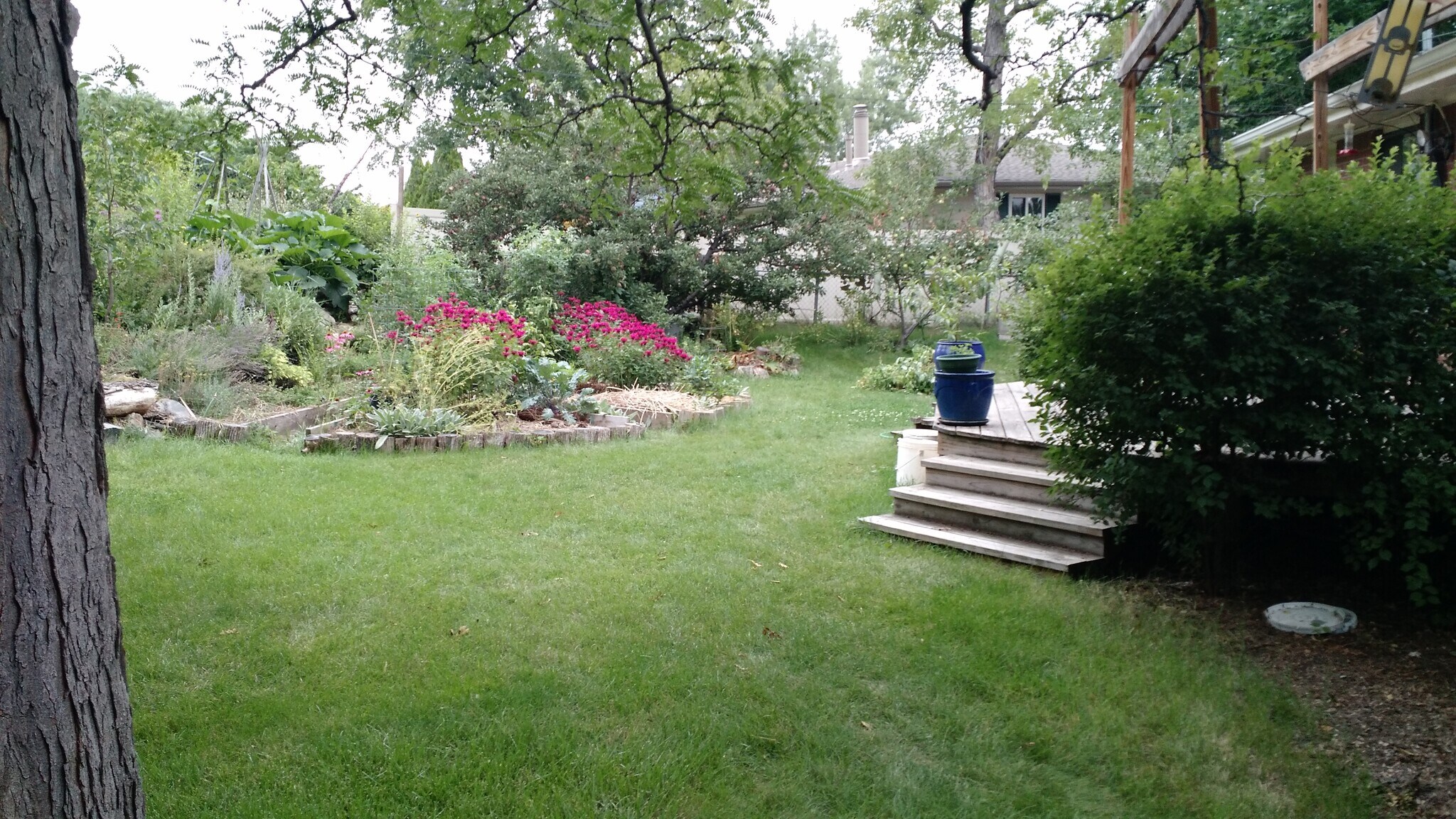 backyard - 11175 W Ohio Dr