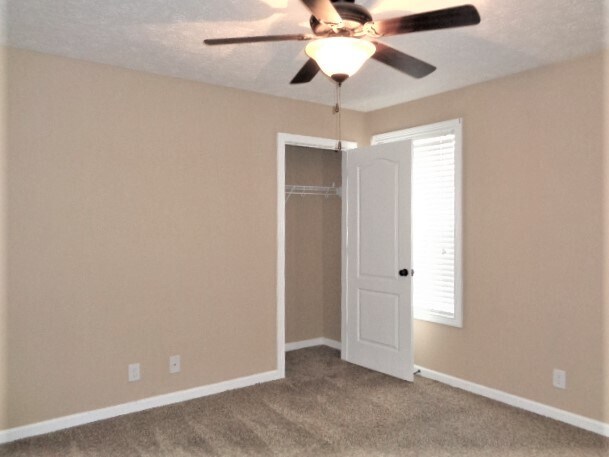Building Photo - 3764 Gray Fox Dr