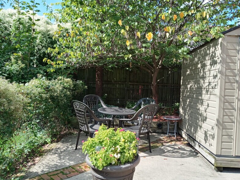Outside patio area - 532 Pine St