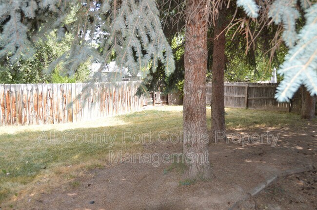 Building Photo - 706 Morsman Dr