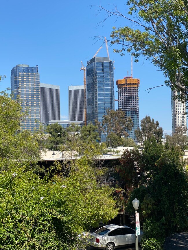 View from the living room window! - 1861 Pandora Ave