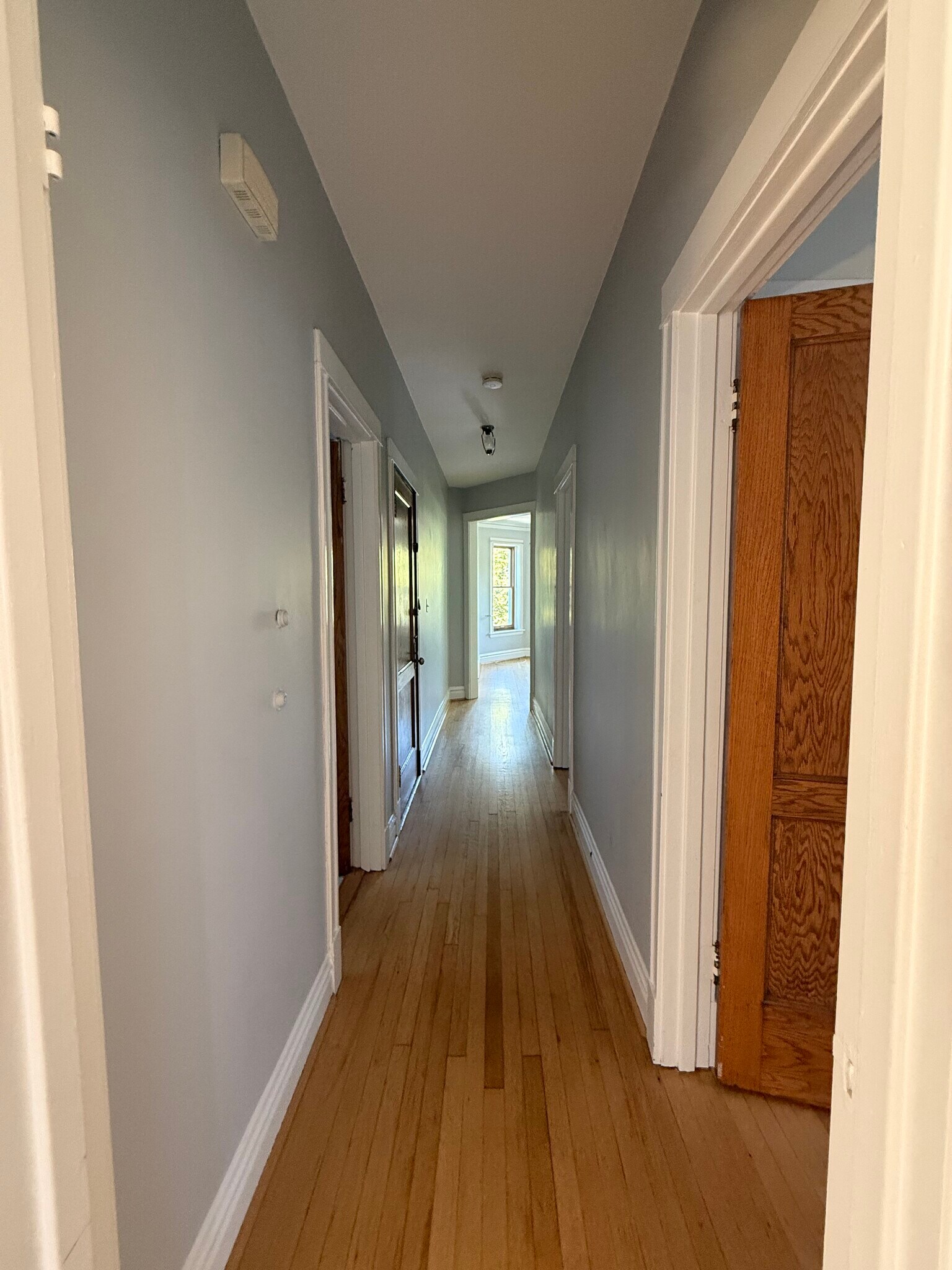 Hallway - 1311 W Cornelia Ave