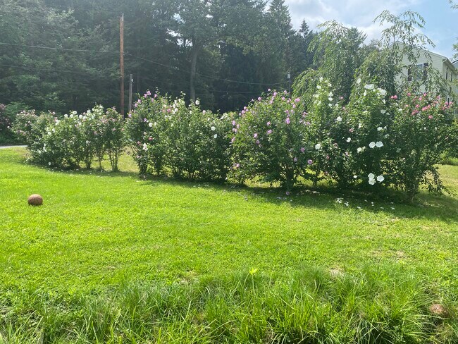 Building Photo - 8 El Caney Rd