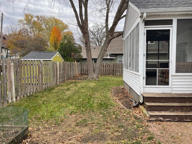 Back yard. - 826 Hall St