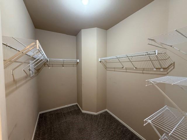 Building Photo - 3717 Tall Cedars Rd