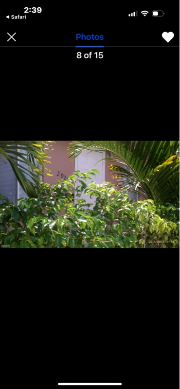 Building Photo - 2928 N Ocean Blvd