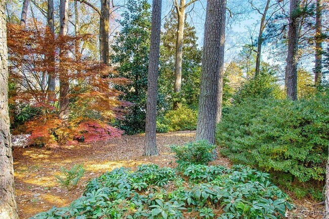 Building Photo - 509 Waveny Rd