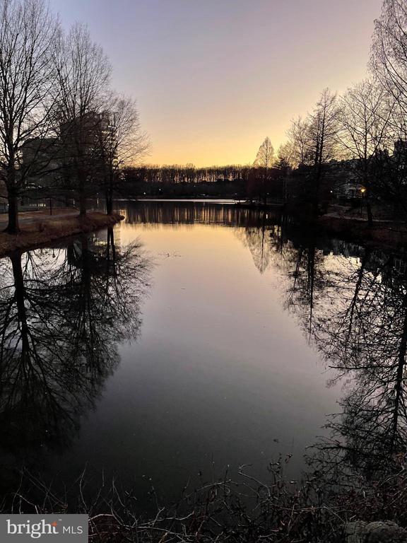 Building Photo - 2942 Yarling Ct