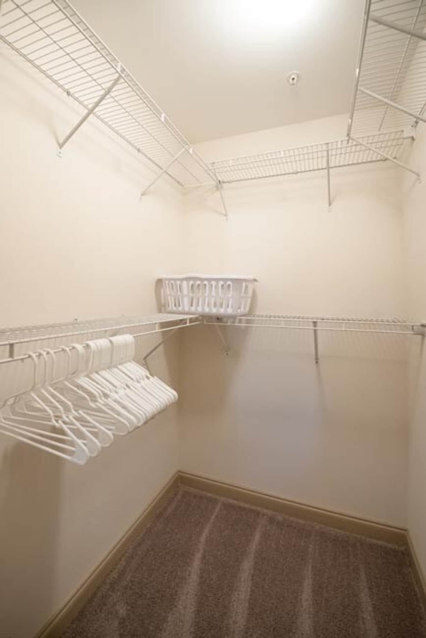 Building Photo - 3202 Renaissance Park Pl