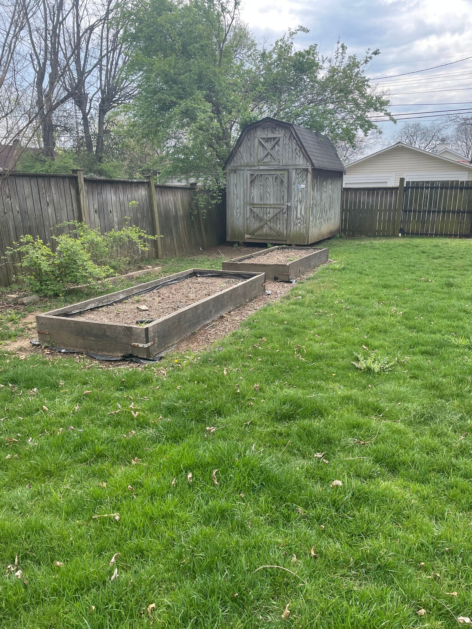 Backyard - 4707 Elkins Ave