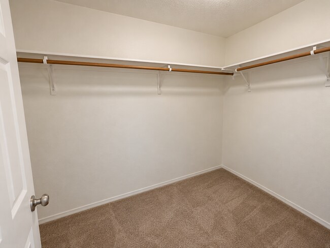 Building Photo - 2856 W Lost Rapids Dr