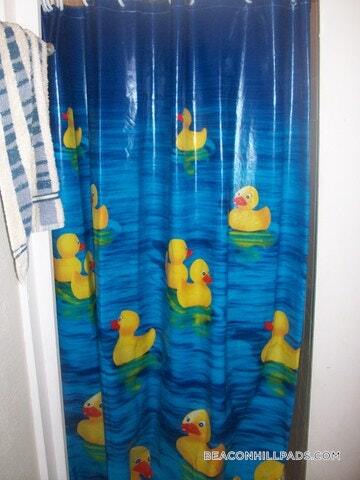 Building Photo - 40 Anderson St