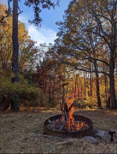 Building Photo - 315 Goldfinch Pl