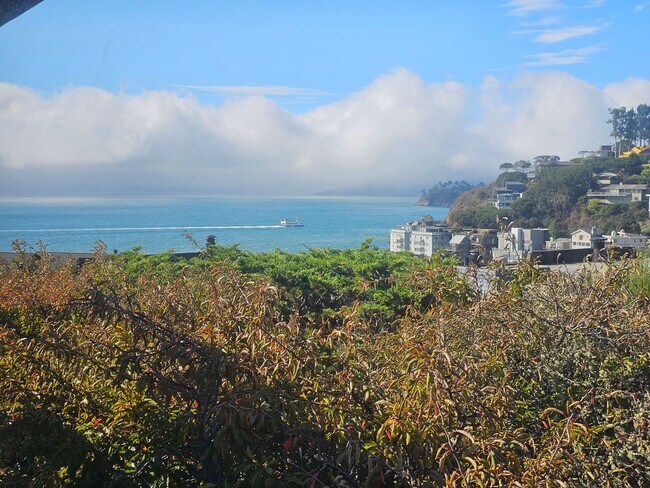 Building Photo - Paradise Drive View Home