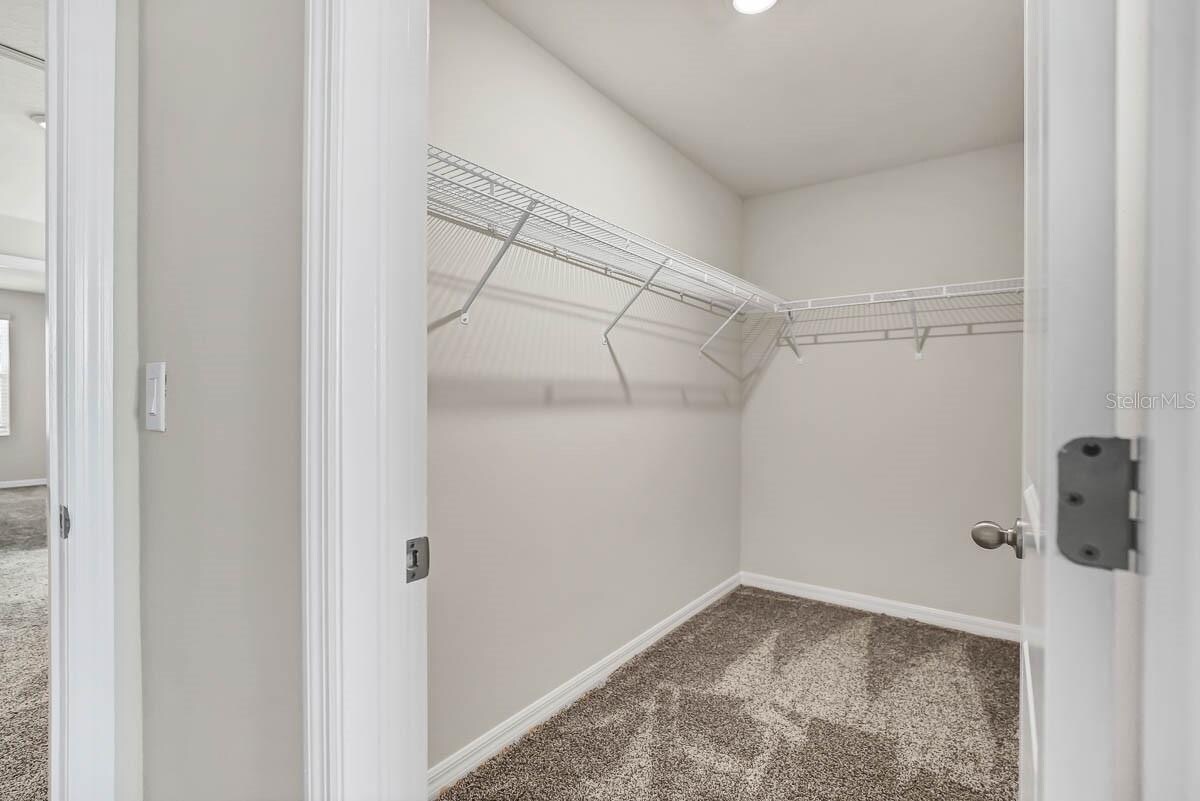 Building Photo - 2760 Chestnut Creek Pl