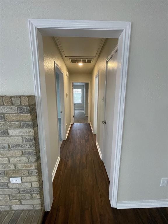 Building Photo - 1231 Armadillo Rd