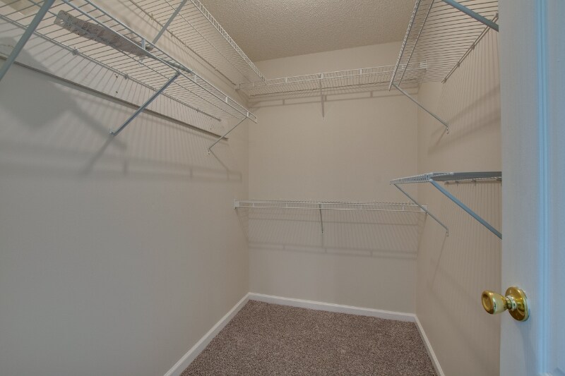 Building Photo - 238 Barberry Ln